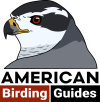 American Birding Guides