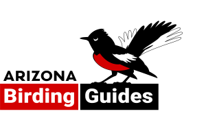 ArizonaBirdingGuides_Logo_LARGE