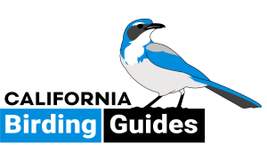 CaliforniaBirdingGuides_Logo_LARGE
