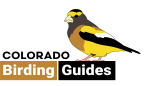 ColoradoBirdingGuides_Logo_LARGE