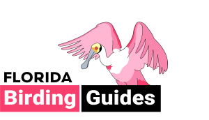 FloridaBirdingGuides_Logo_LARGE