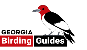 GeorgiaBirdingGuides_Logo_LARGE-2