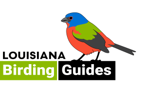 LouisianaBirdingGuides_Logo_LARGE