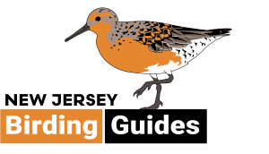NewJerseyBirdingGuides_Logo_LARGE