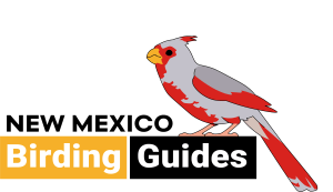 NewMexicoBirdingGuides_Logo_LARGE