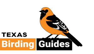 TexasBirdingGuides_Logo_LARGE