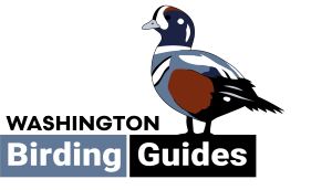 WashingtonBirdingGuides_Logo_LARGE