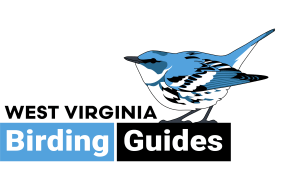 WestVirginiaBirdingGuides_Logo_LARGE