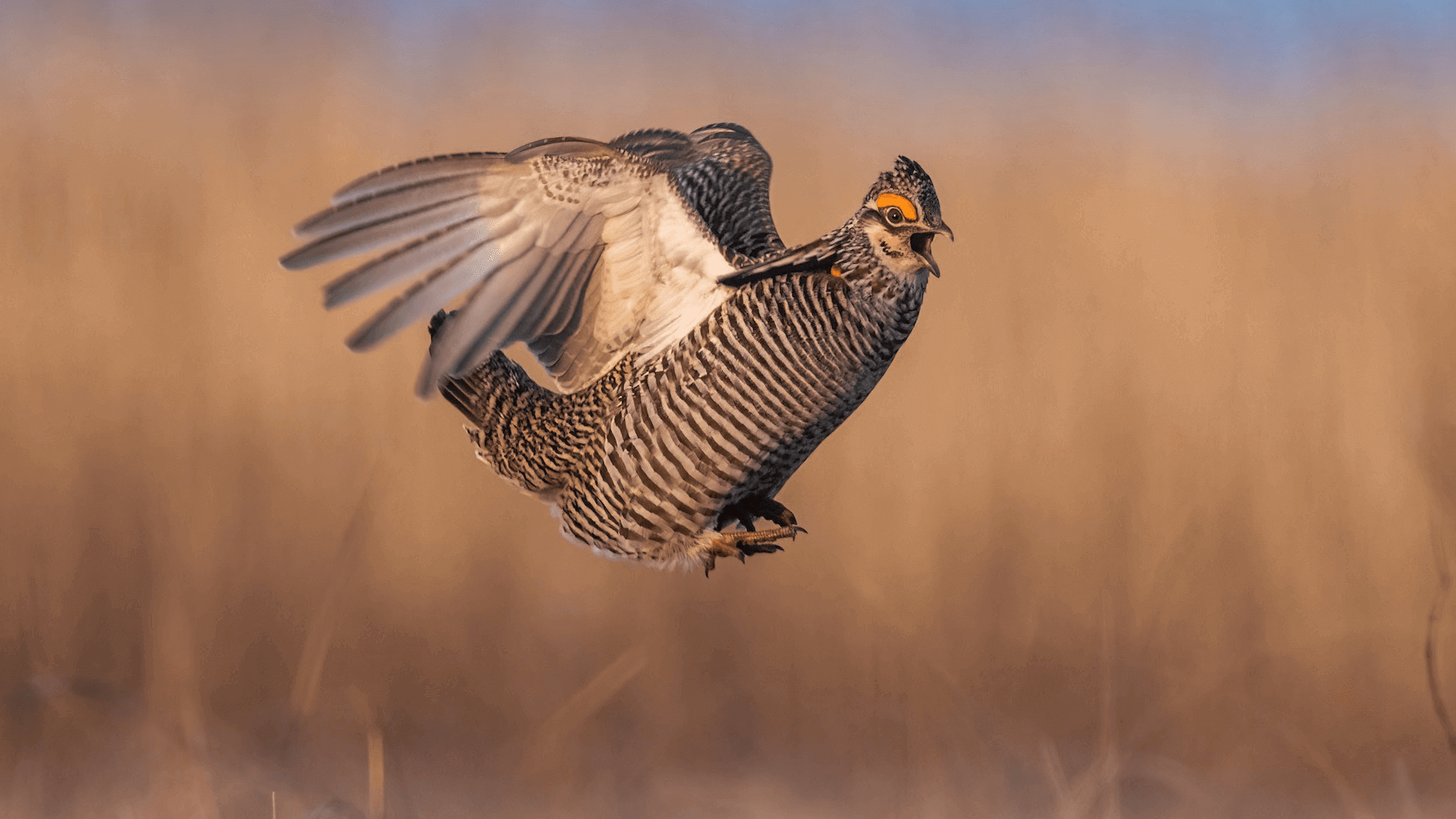 image fotor 20240918131817 2 fotor 20250910172513 2