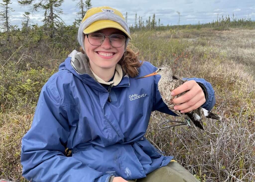 unnamed 1 2 1024x731 1